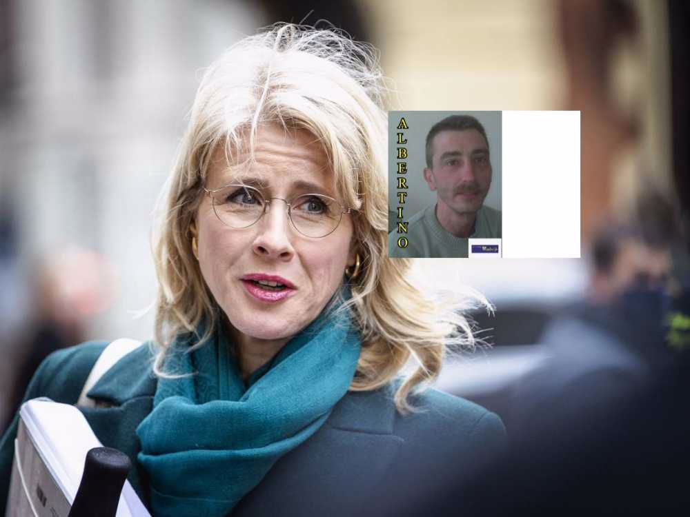 Afbeelding van de activiteit