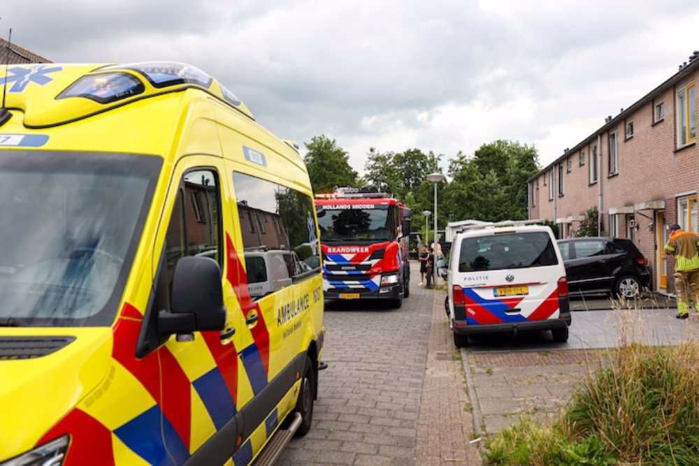 Afbeelding van de activiteit