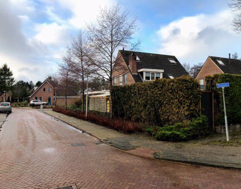 Afbeelding van de activiteit