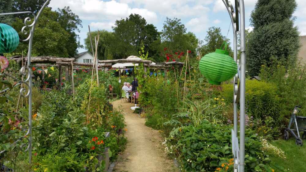 Afbeelding van de activiteit