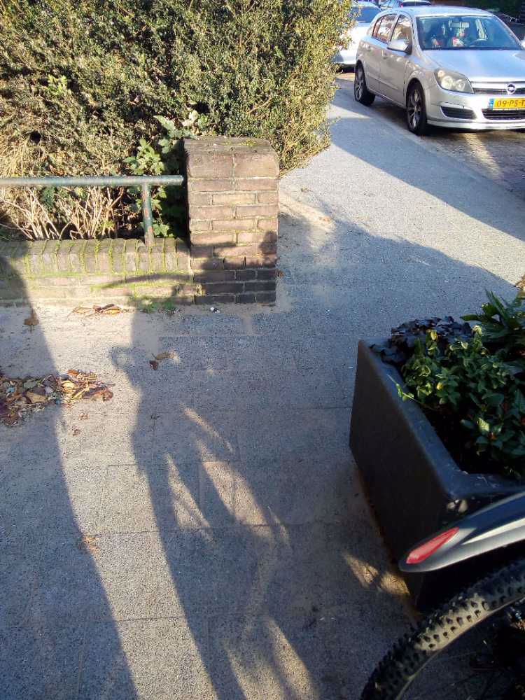 Afbeelding van de activiteit