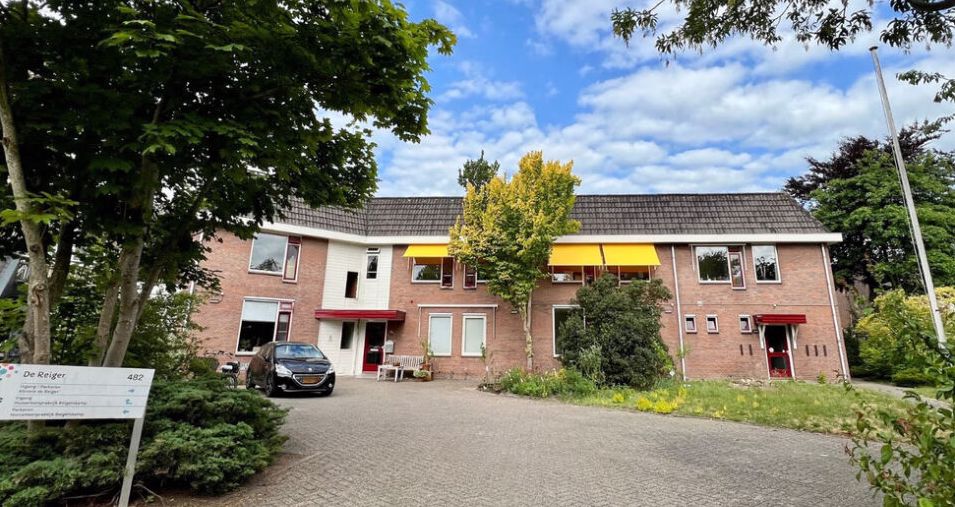 Afbeelding van de activiteit