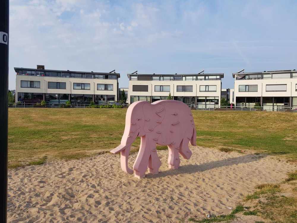 Afbeelding van de activiteit
