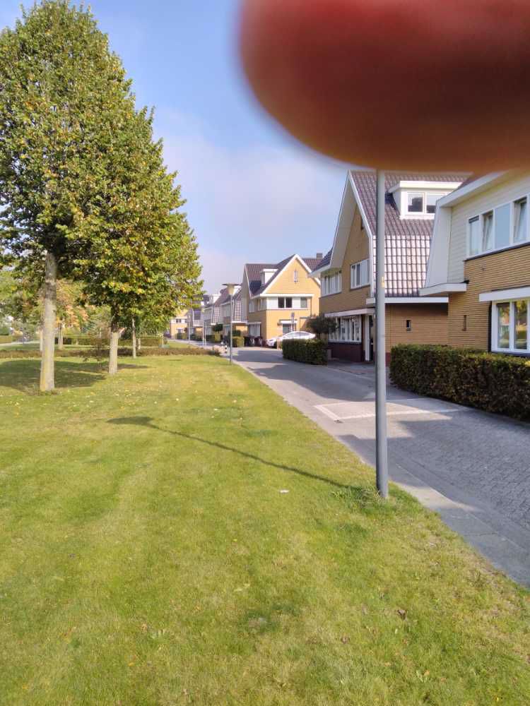 Afbeelding van de activiteit
