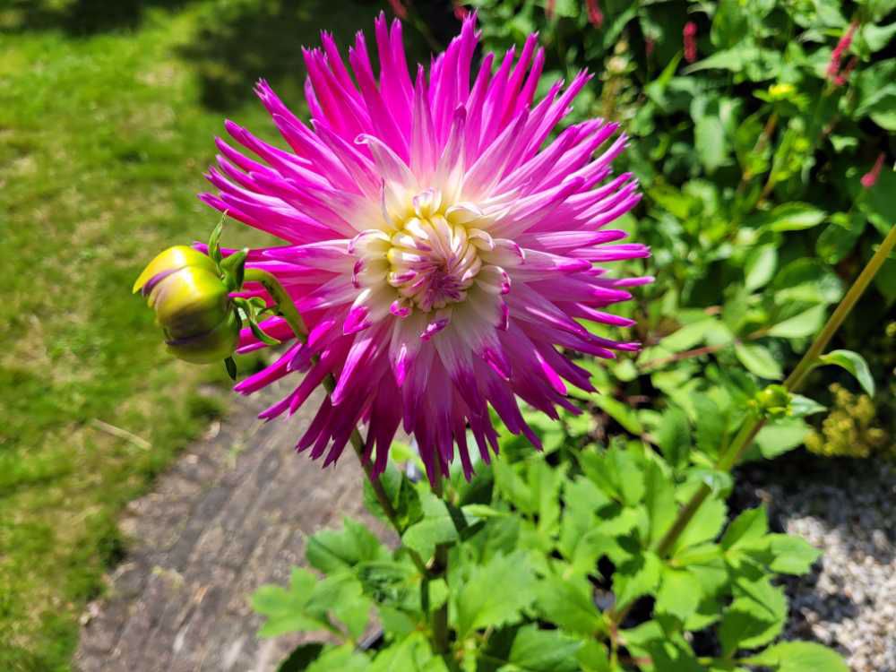 Afbeelding van de activiteit