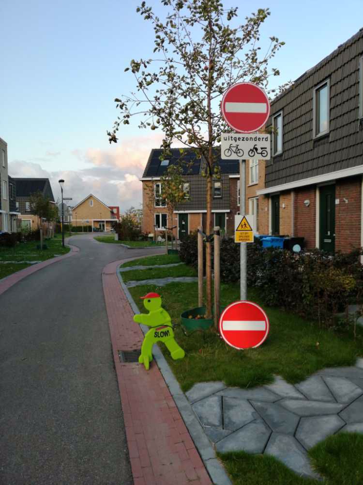 Afbeelding van de activiteit