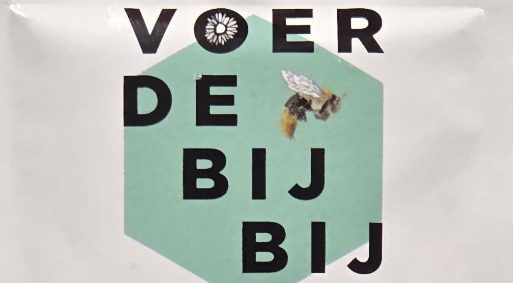 Afbeelding van de activiteit