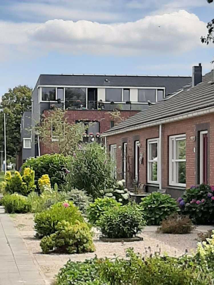 Afbeelding van de activiteit