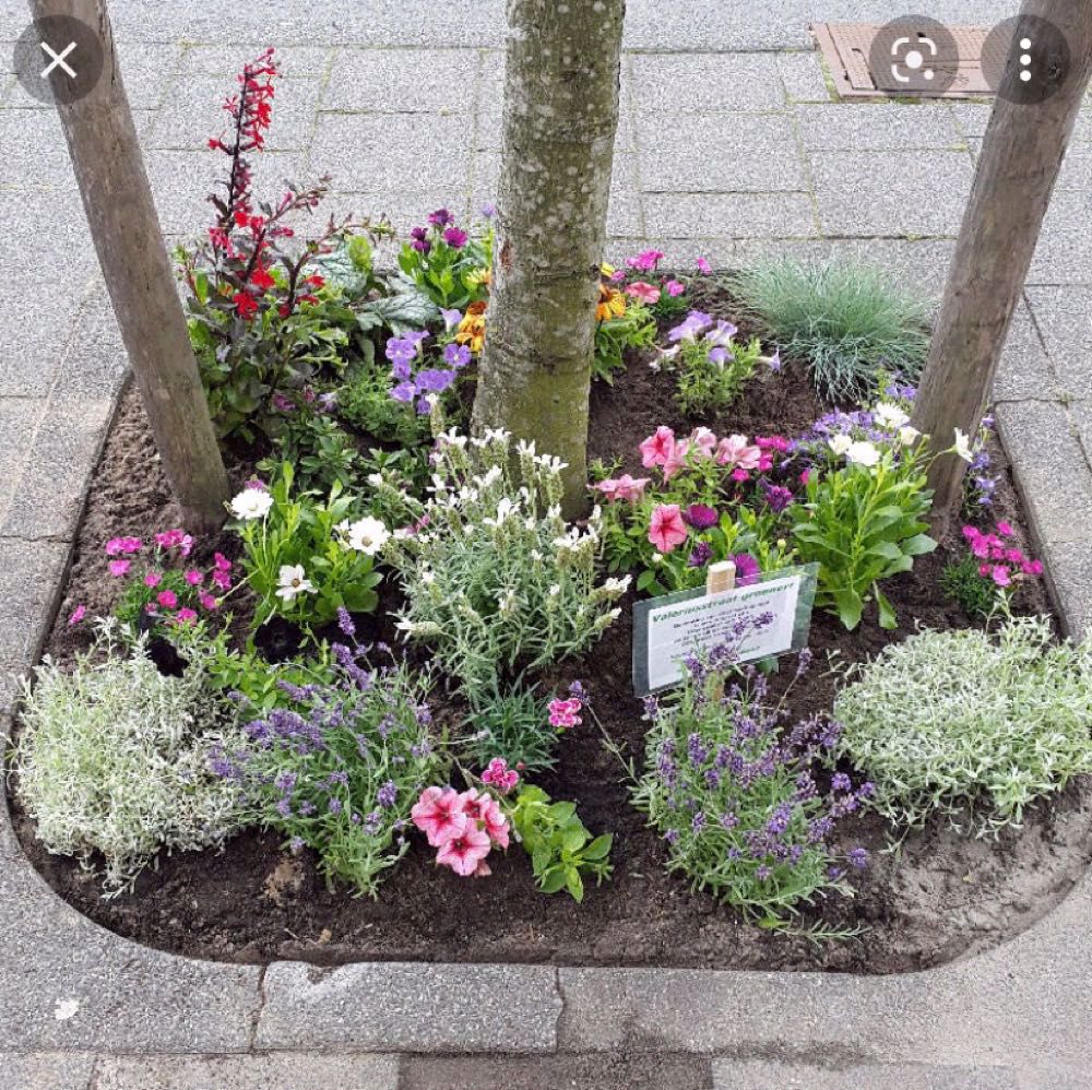Afbeelding van de activiteit