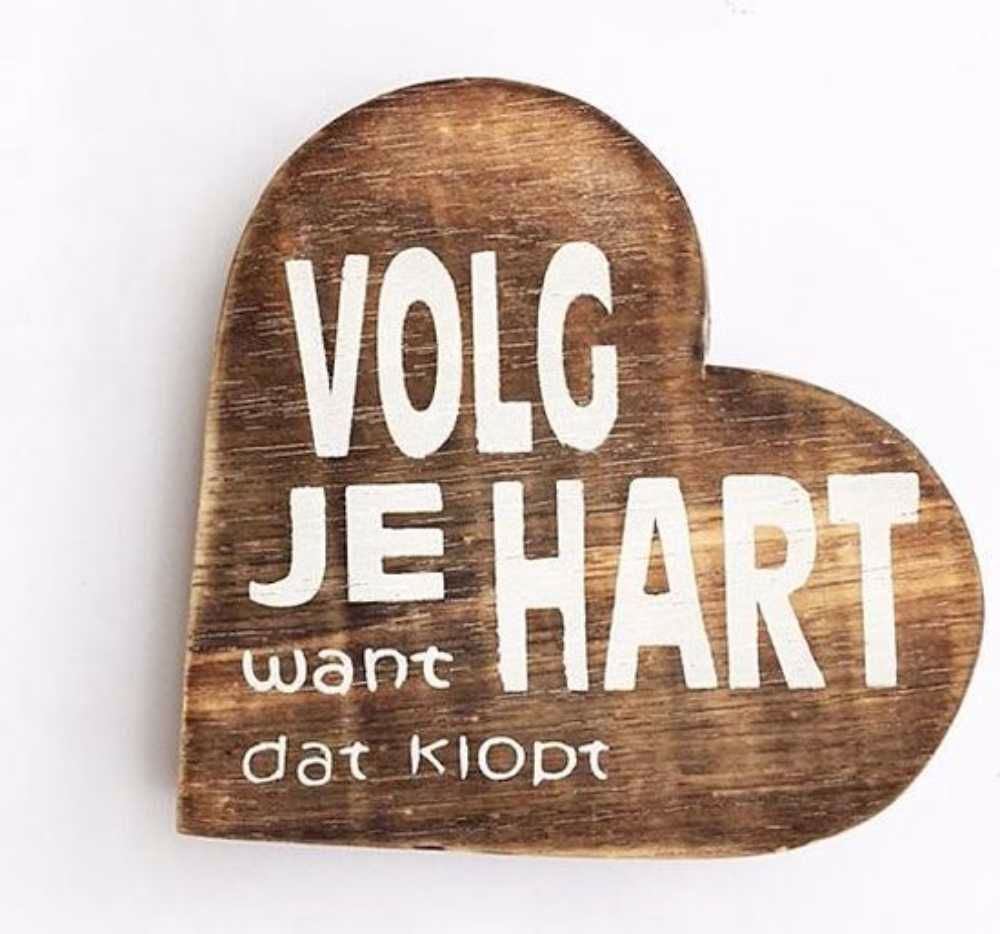 Afbeelding van de activiteit