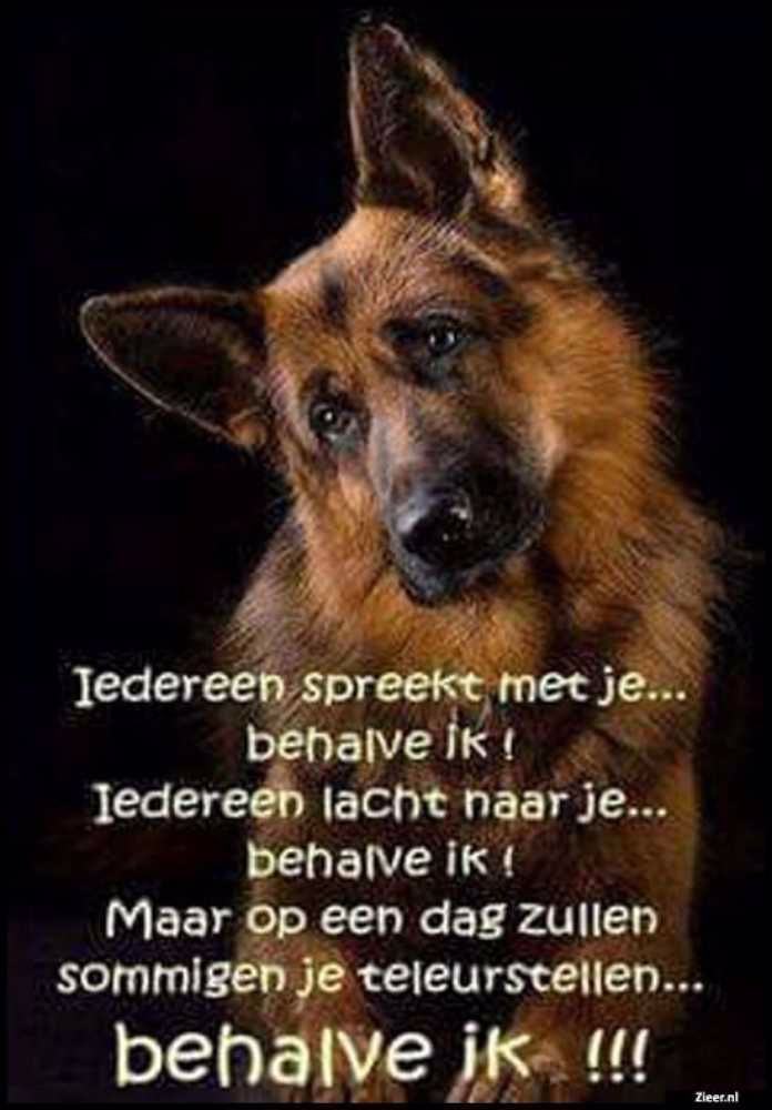 Afbeelding van de activiteit