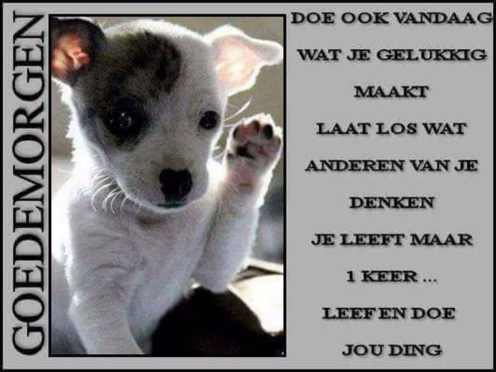 Afbeelding van de activiteit