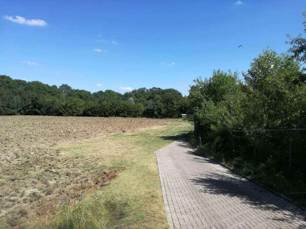 Afbeelding van de activiteit