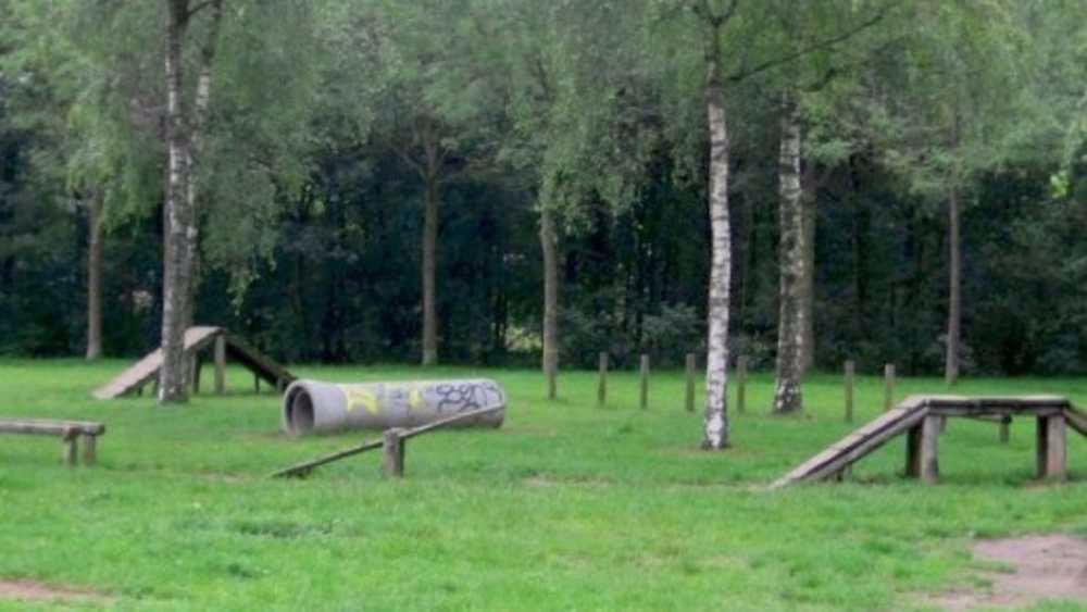 Afbeelding van de activiteit