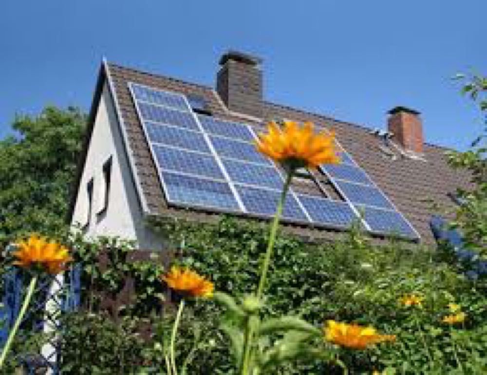 Afbeelding van de activiteit