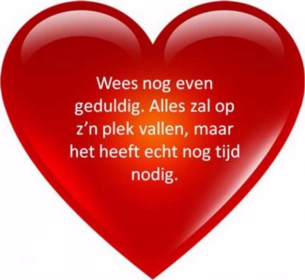 Afbeelding van de activiteit