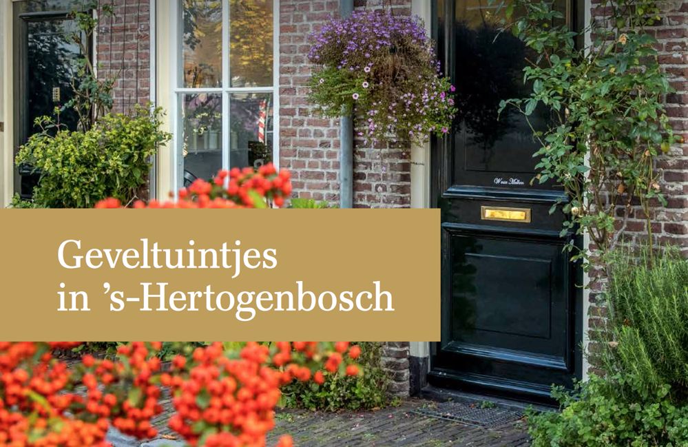 Afbeelding van de activiteit