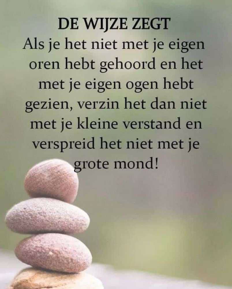 Afbeelding van de activiteit