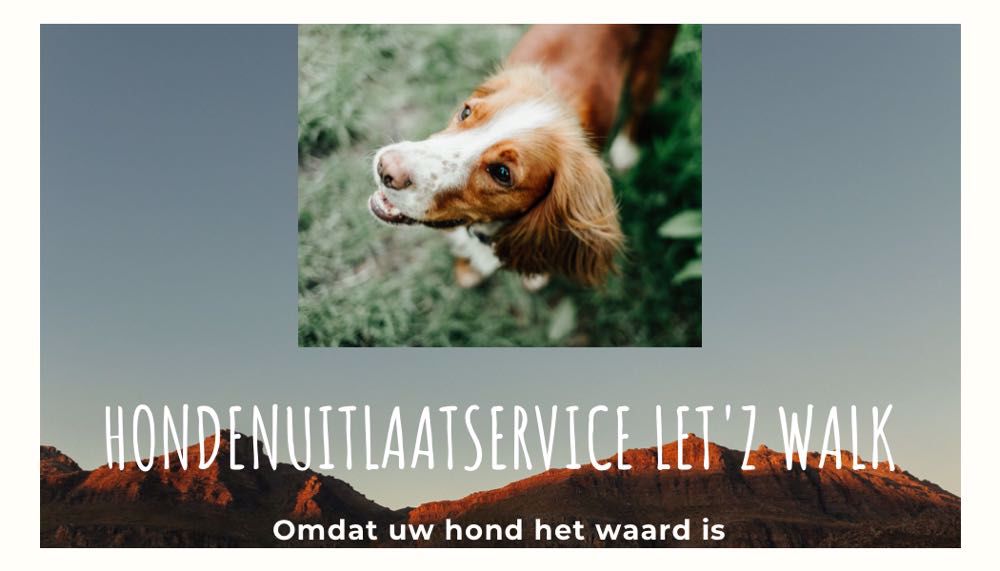 Afbeelding van de activiteit