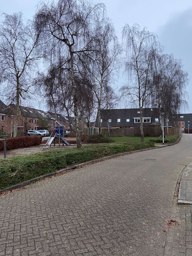 Afbeelding van de activiteit