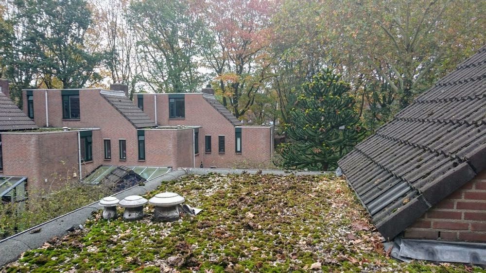 Afbeelding van de activiteit