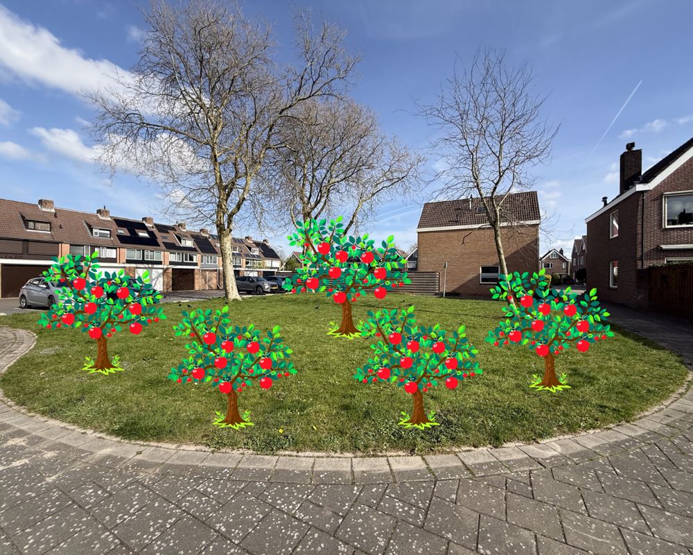 Afbeelding van de activiteit