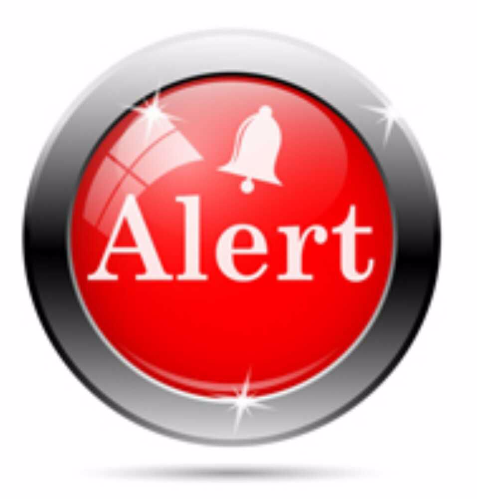 Afbeelding van de activiteit