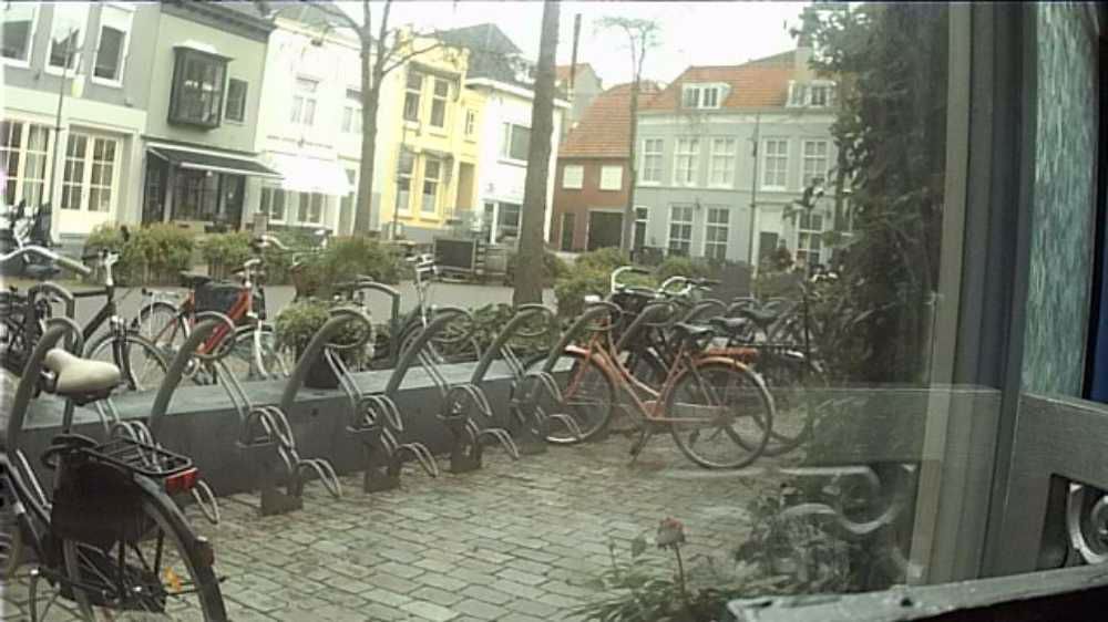 Afbeelding van de activiteit
