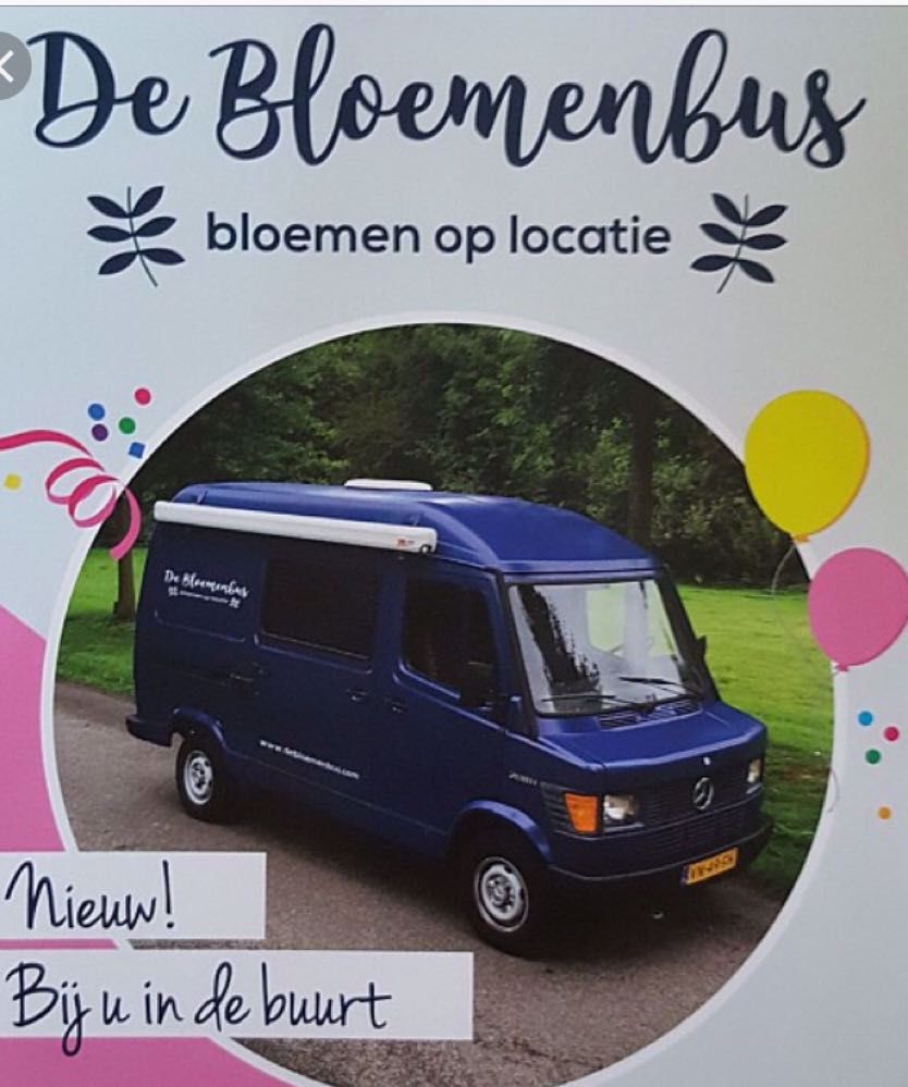 Afbeelding van de activiteit
