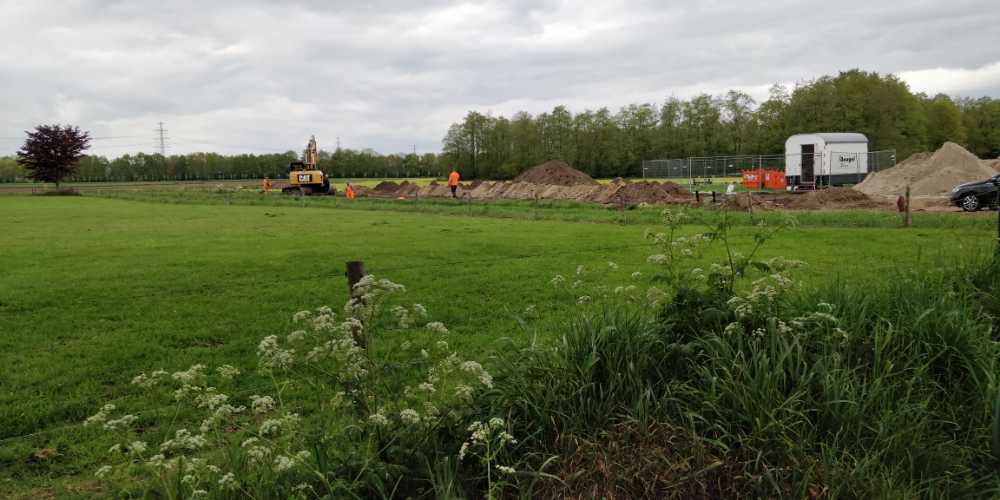Afbeelding van de activiteit