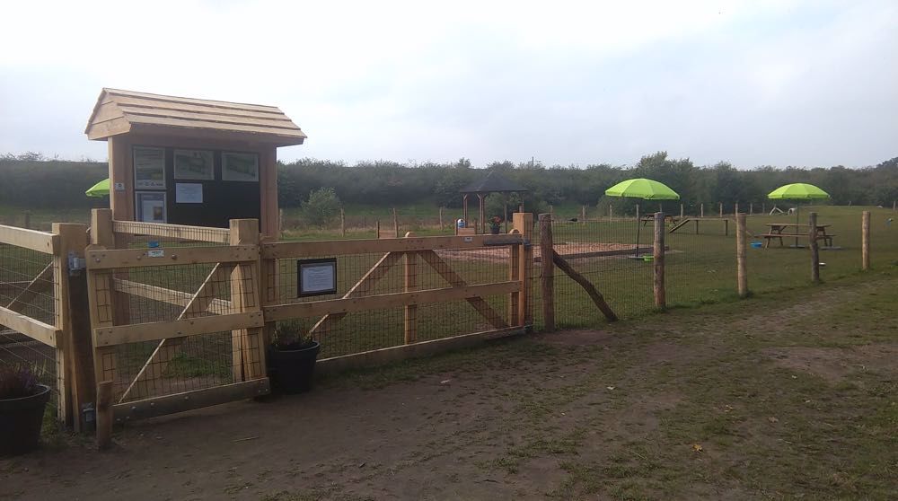 Afbeelding van de activiteit