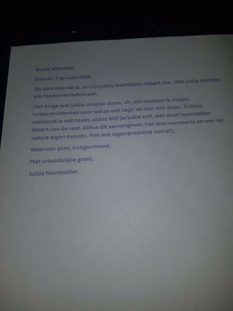 Afbeelding van de activiteit