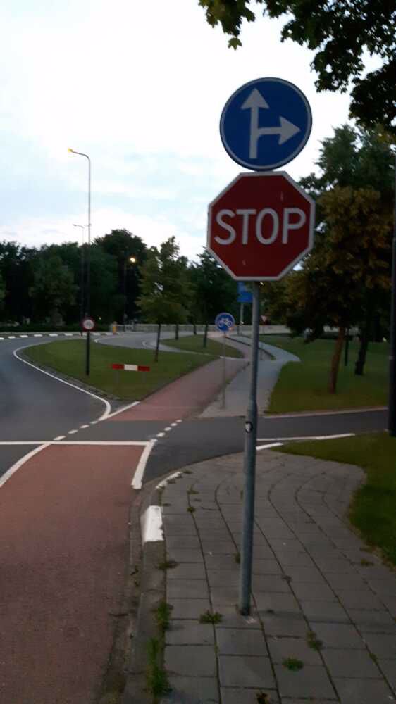 Afbeelding van de activiteit