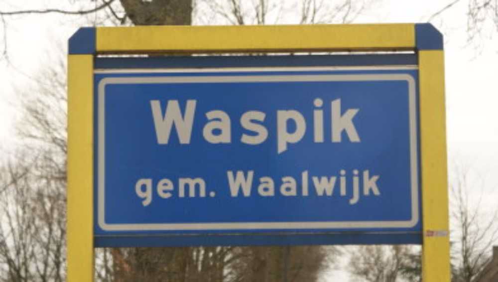 Afbeelding van de activiteit