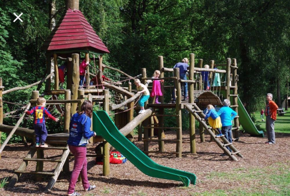 Afbeelding van de activiteit