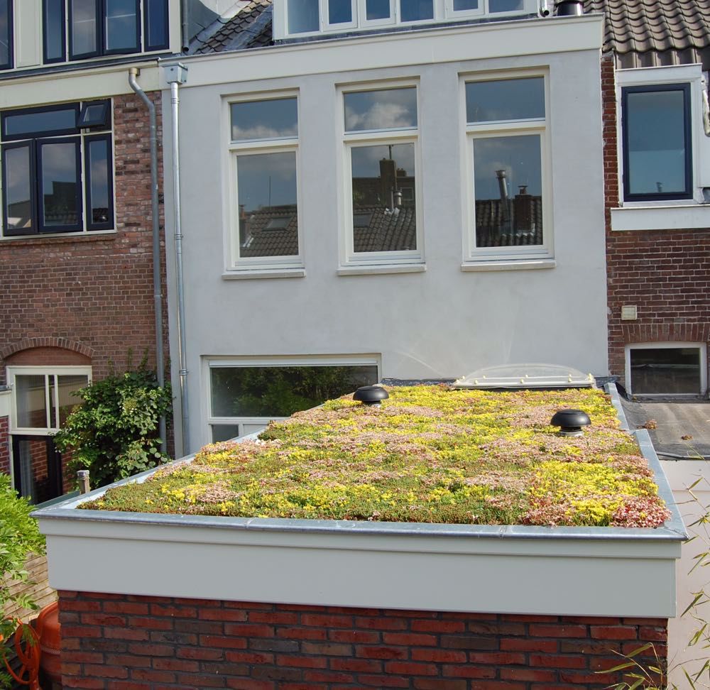 Afbeelding van de activiteit