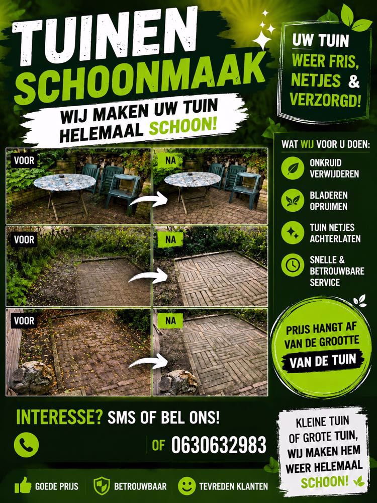 Afbeelding van de activiteit