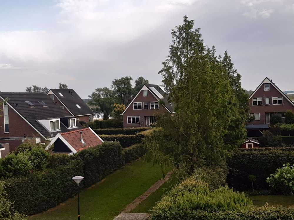 Afbeelding van de activiteit