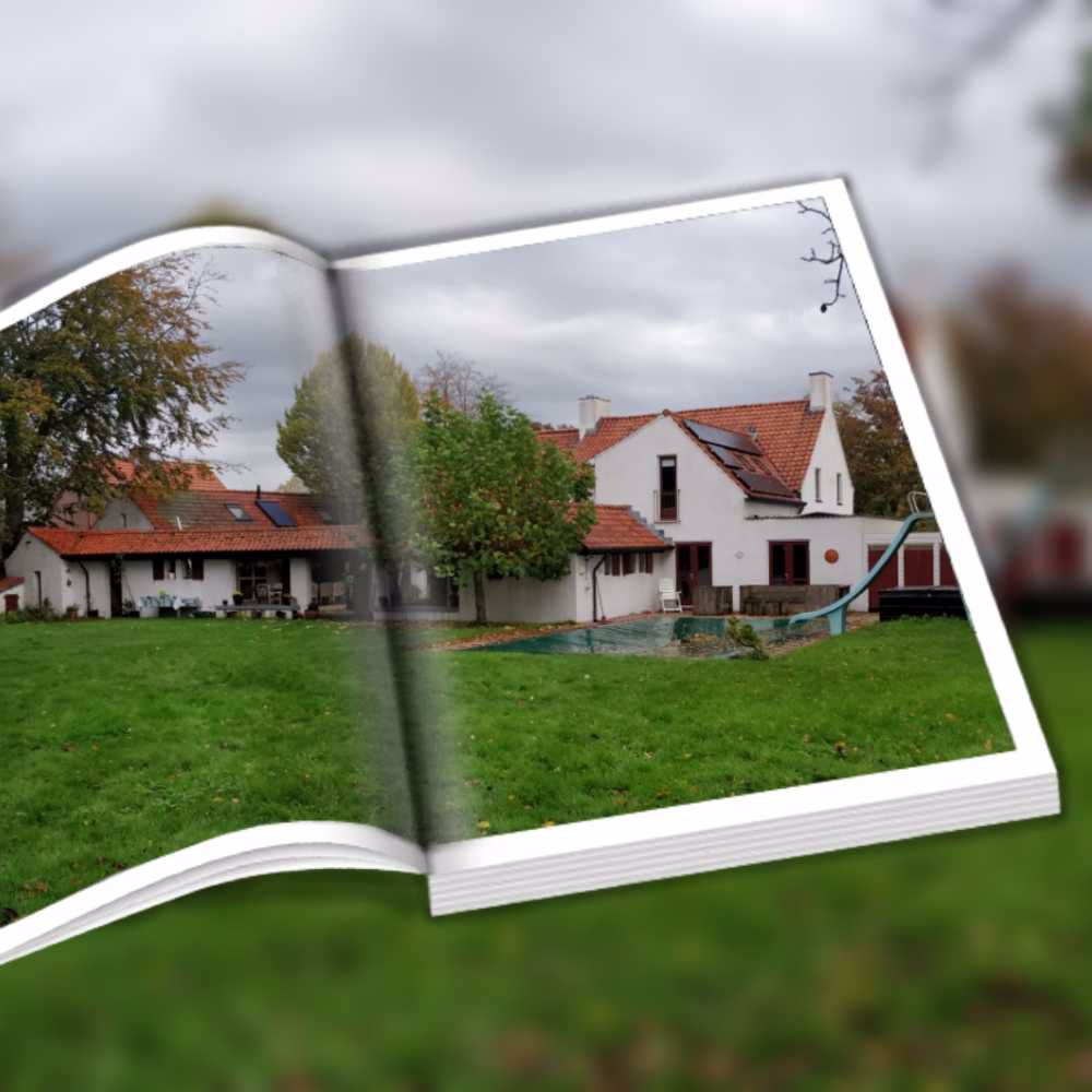 Afbeelding van de activiteit