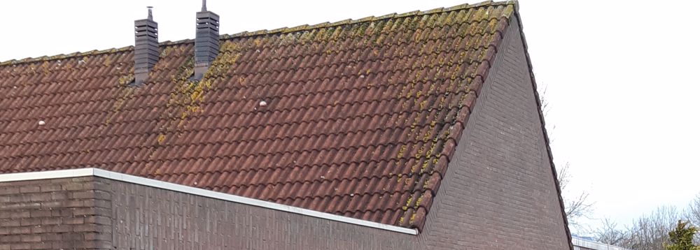 Afbeelding van de activiteit