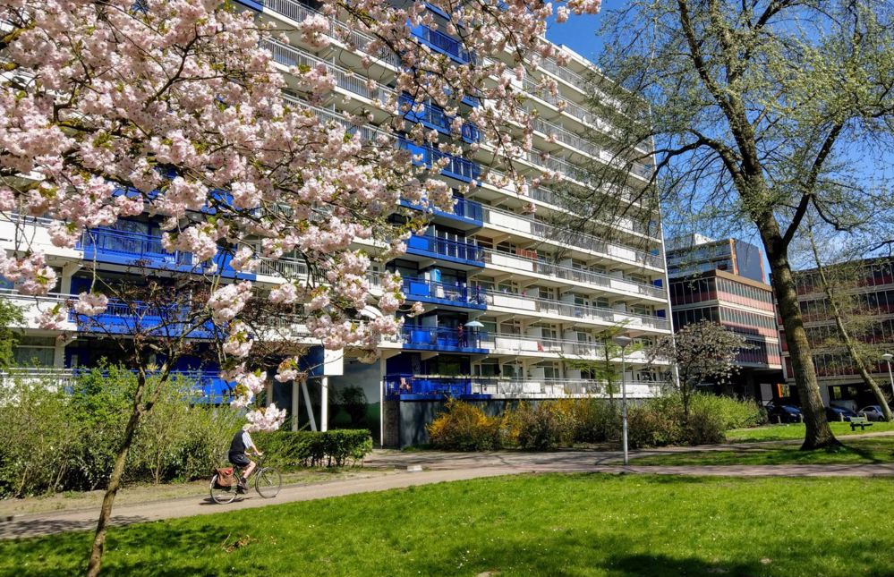 Afbeelding van de activiteit