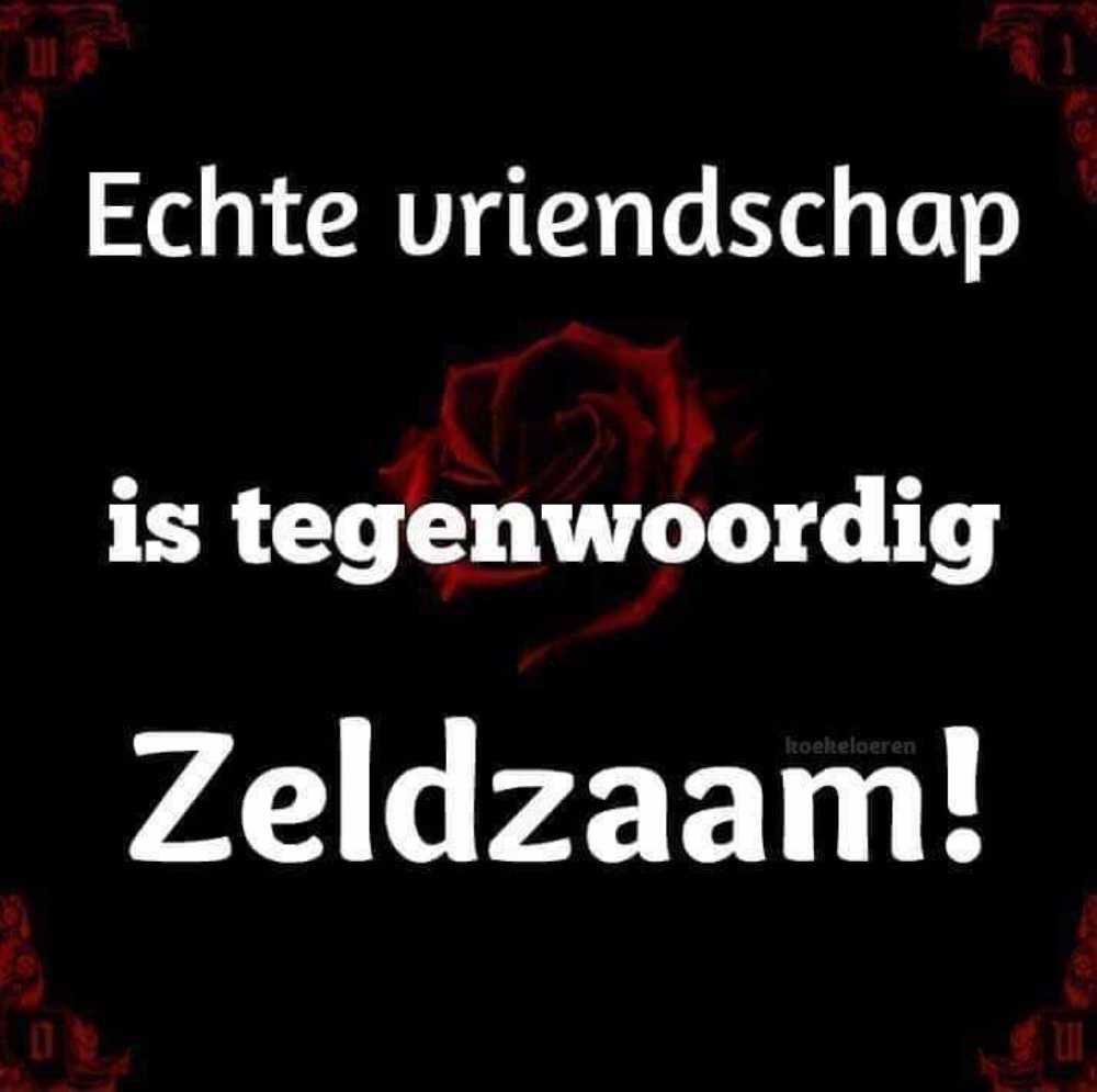 Afbeelding van de activiteit