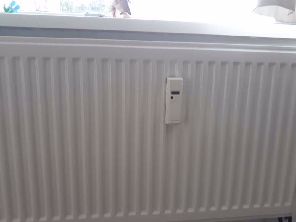 Afbeelding van de activiteit