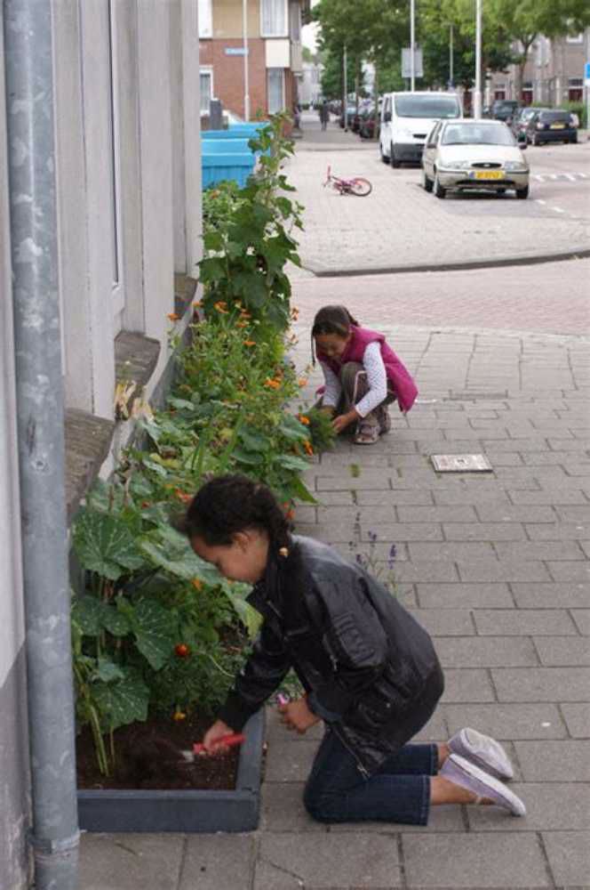 Afbeelding van de activiteit
