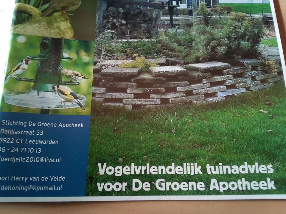 Afbeelding van de activiteit