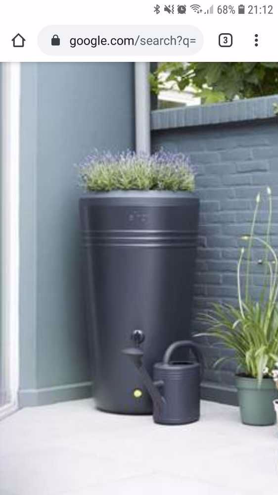 Afbeelding van de activiteit