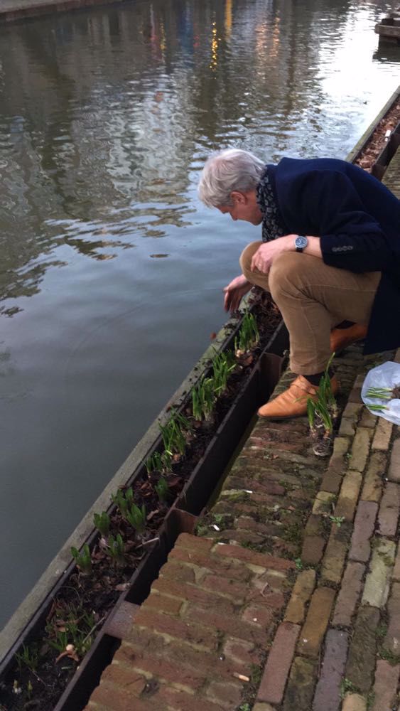 Afbeelding van de activiteit