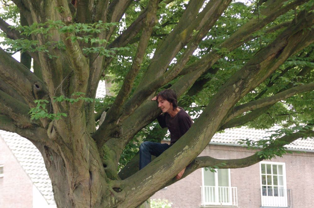 Afbeelding van de activiteit