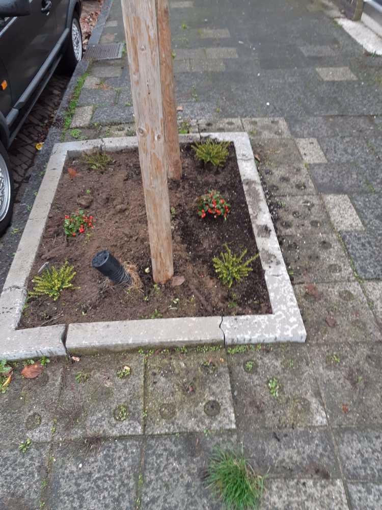 Afbeelding van de activiteit
